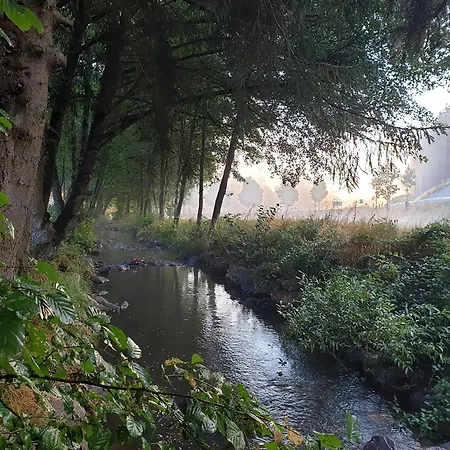 Campsite Mietobjekte Sensweiler