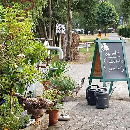 Mietobjekte Campsite Sensweiler